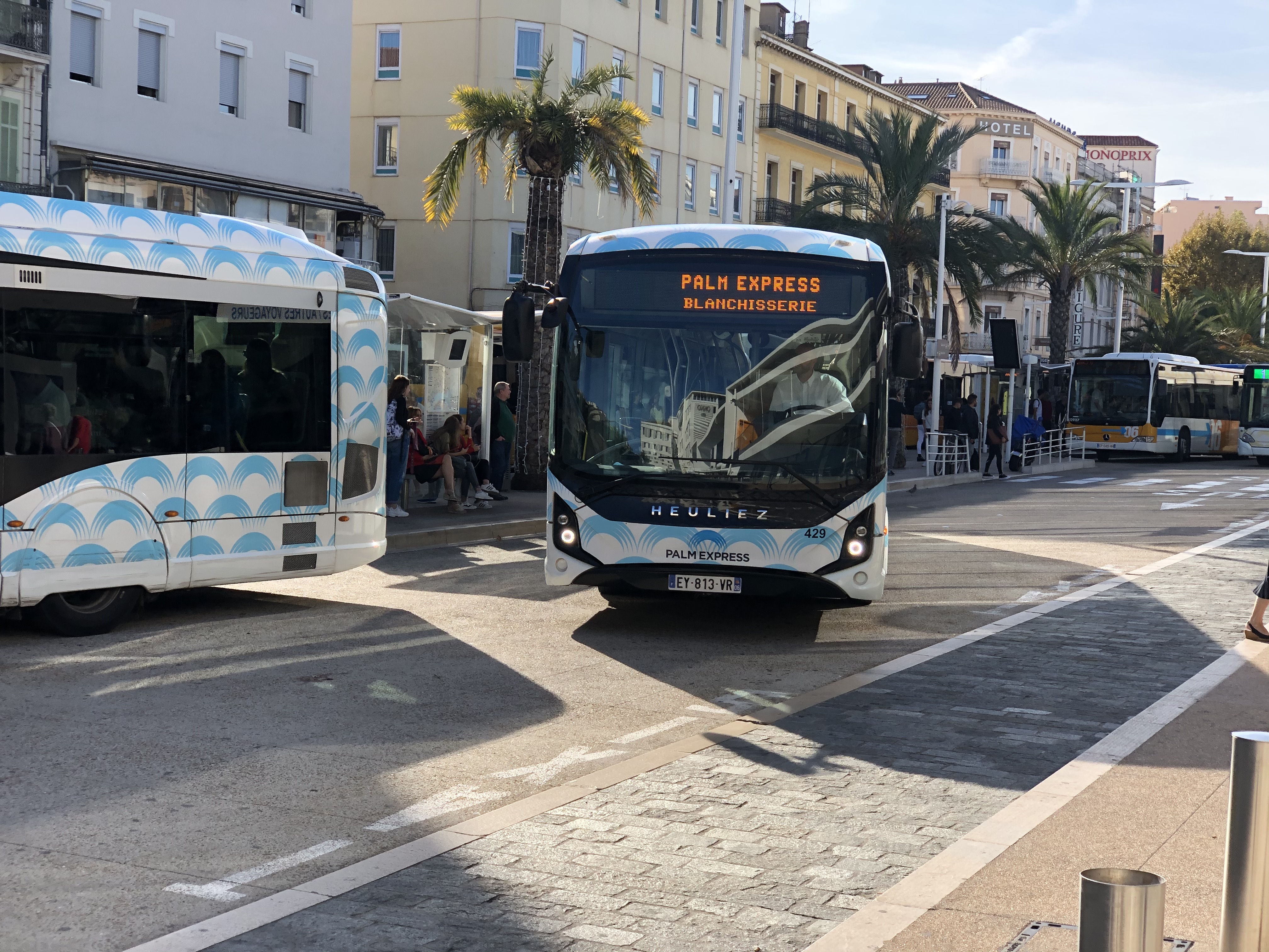 Palm Bus 429