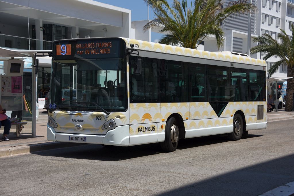 Palm Bus 029