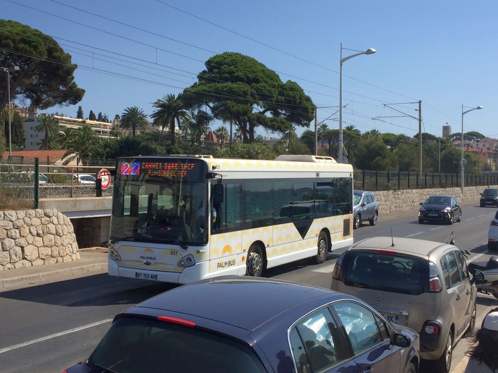 Palm Bus 031 Cannes