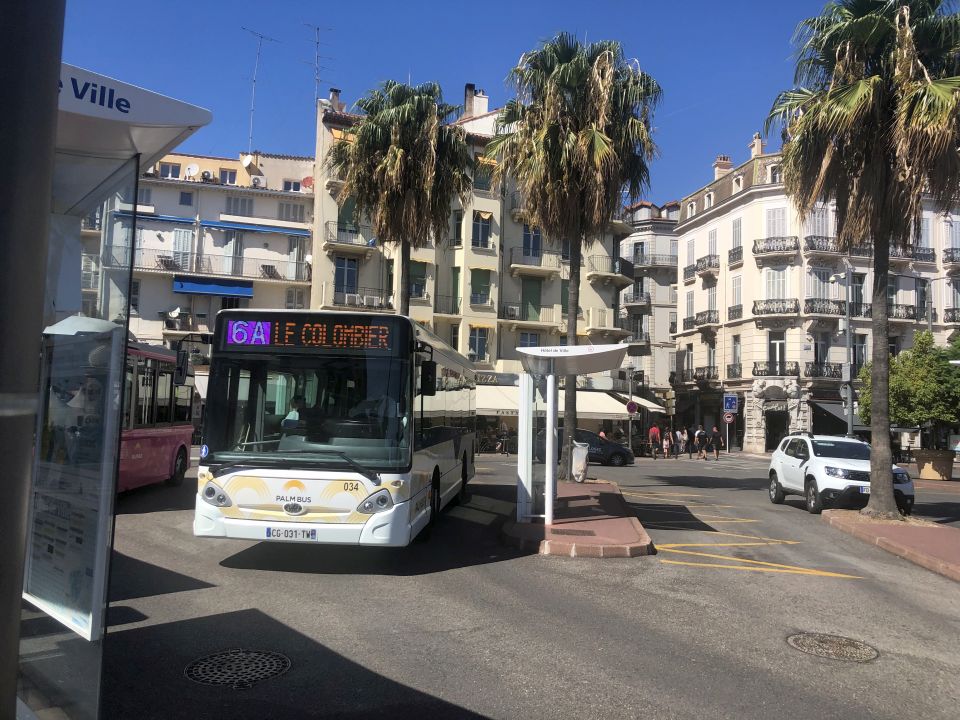 Palm Bus 034 Cannes