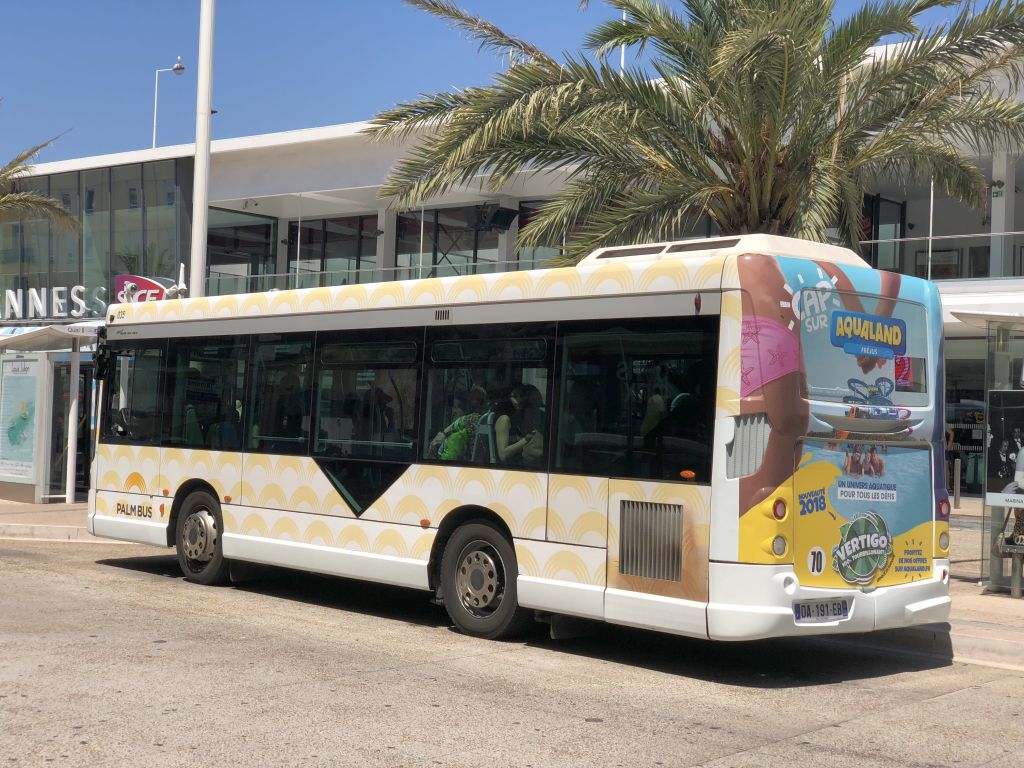 Palm Bus 035