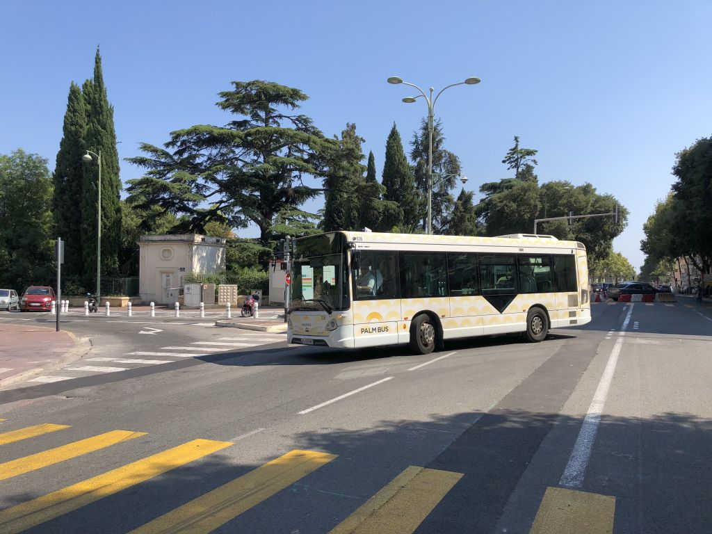 Palm Bus 036