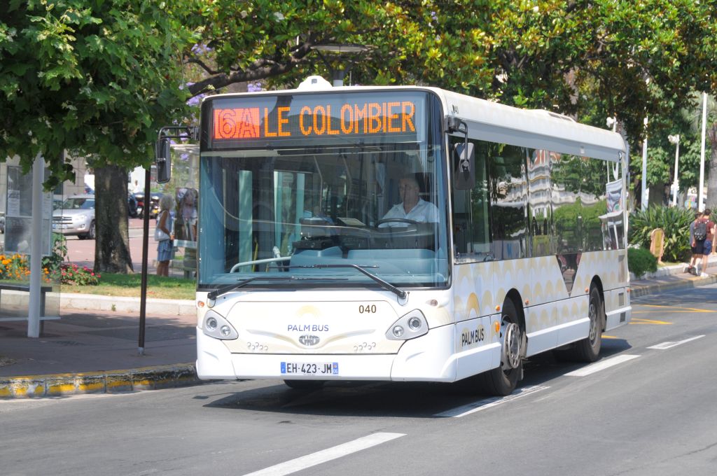 Palm Bus 040