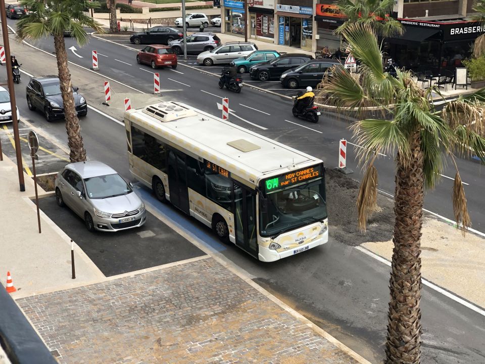 Palm Bus 040