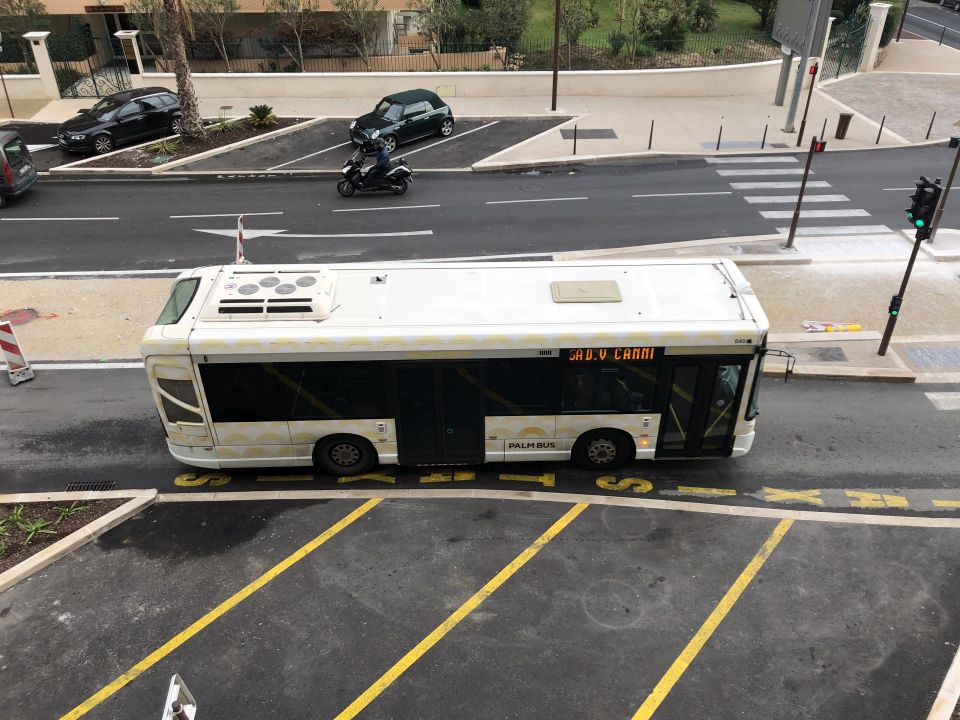 Palm Bus 040