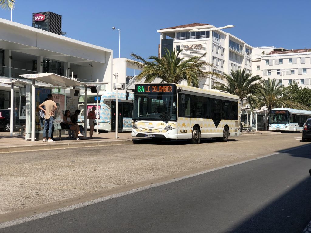 Palm Bus 043