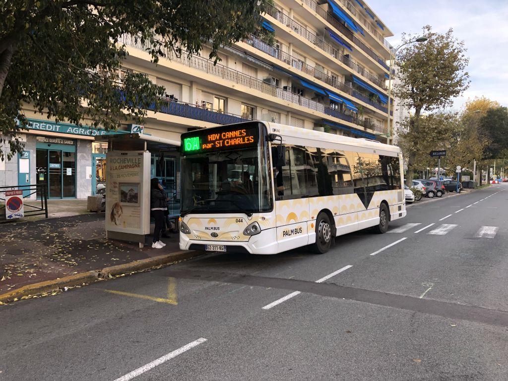 Palm Bus 044