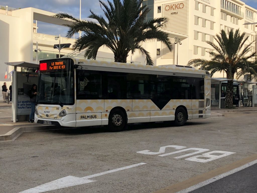 Palm Bus 045