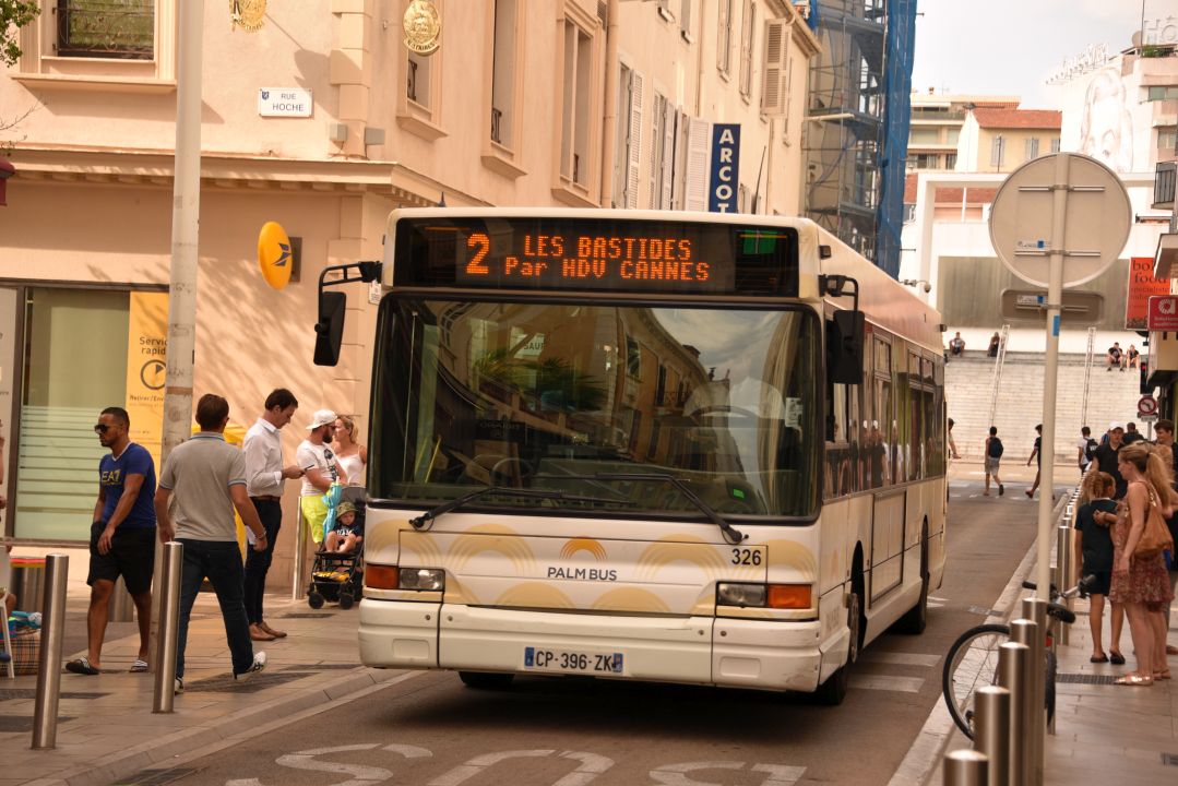 Palm Bus 326