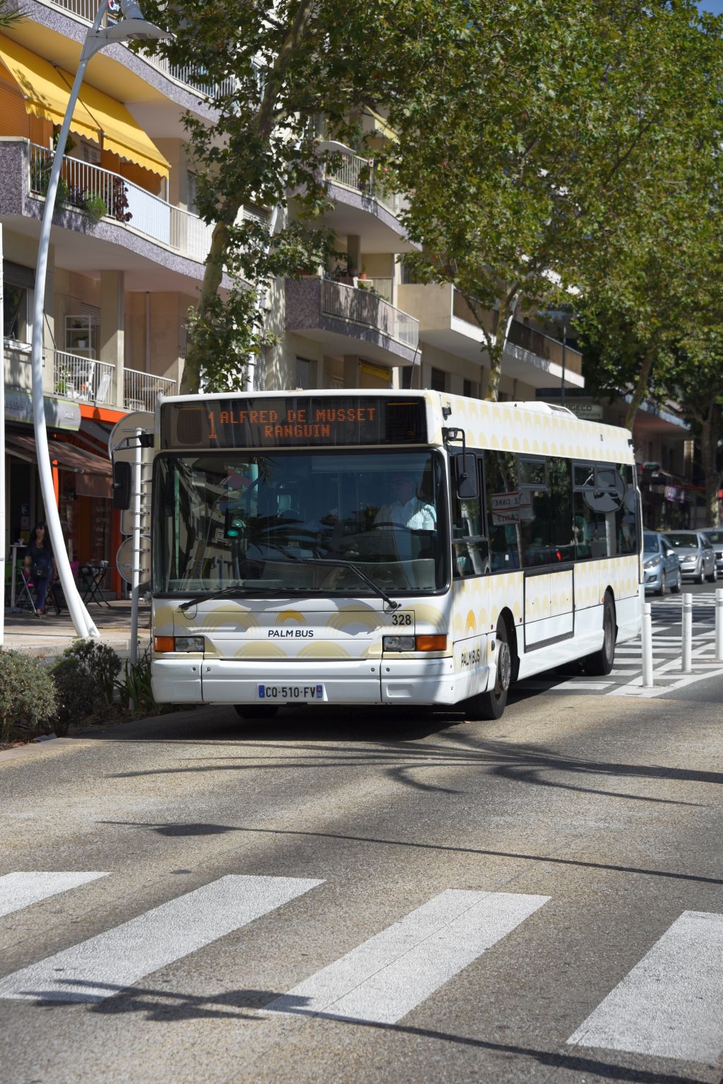 Palm Bus 328
