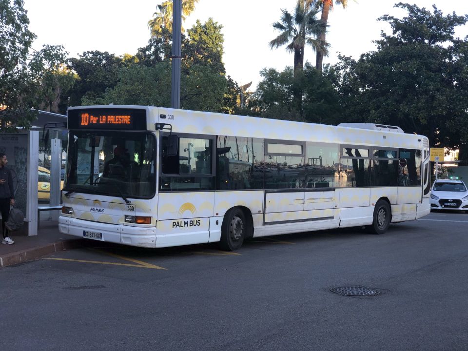 Palm Bus 330