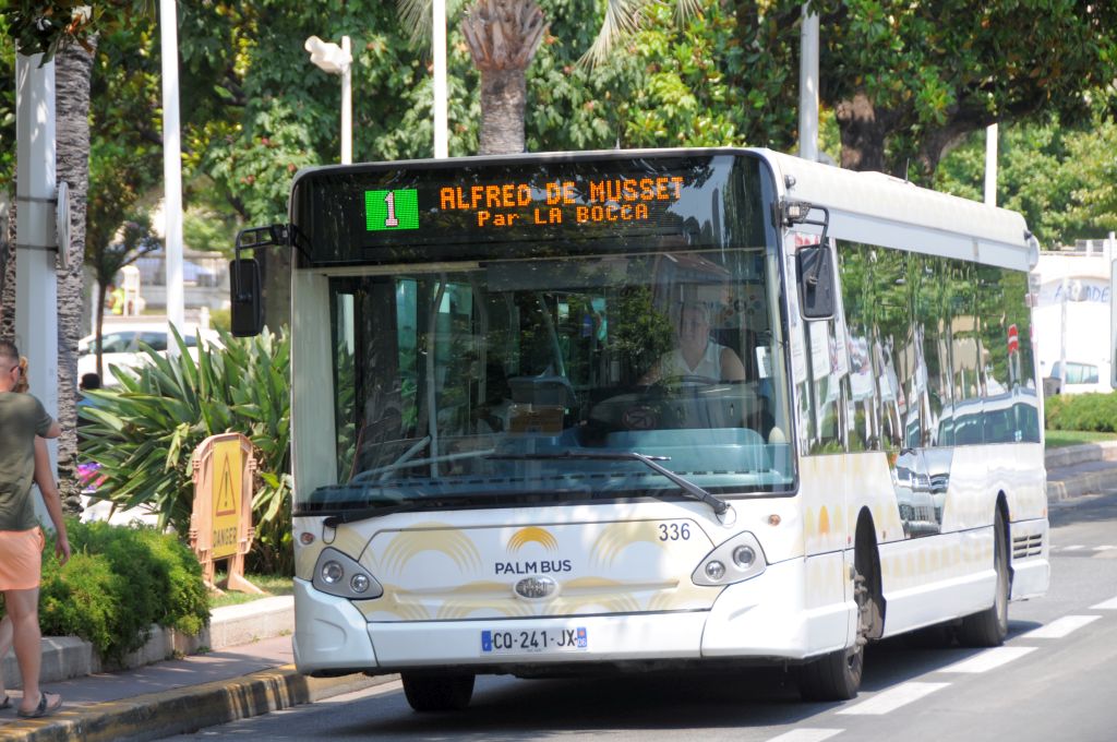 Palm Bus 336