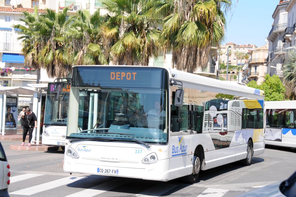 Palm Bus 337
