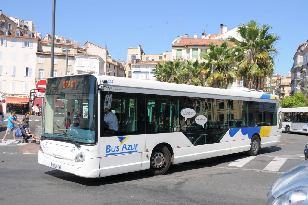 Palm Bus 337