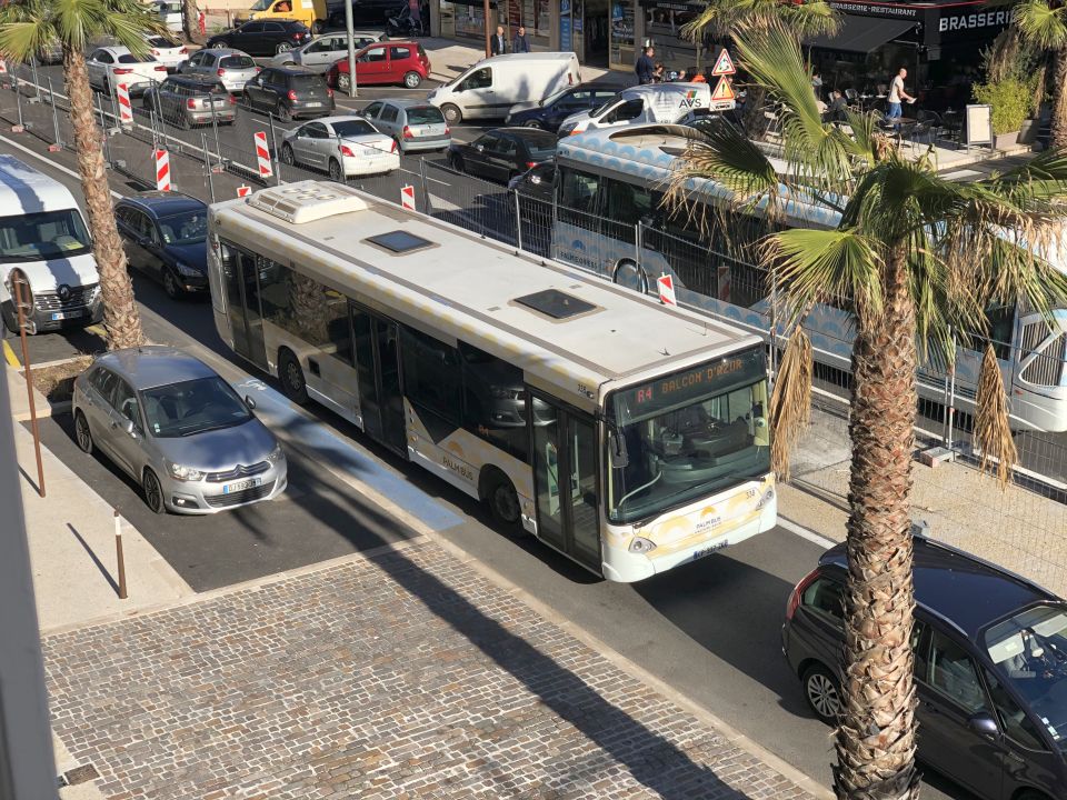 Palm Bus 338