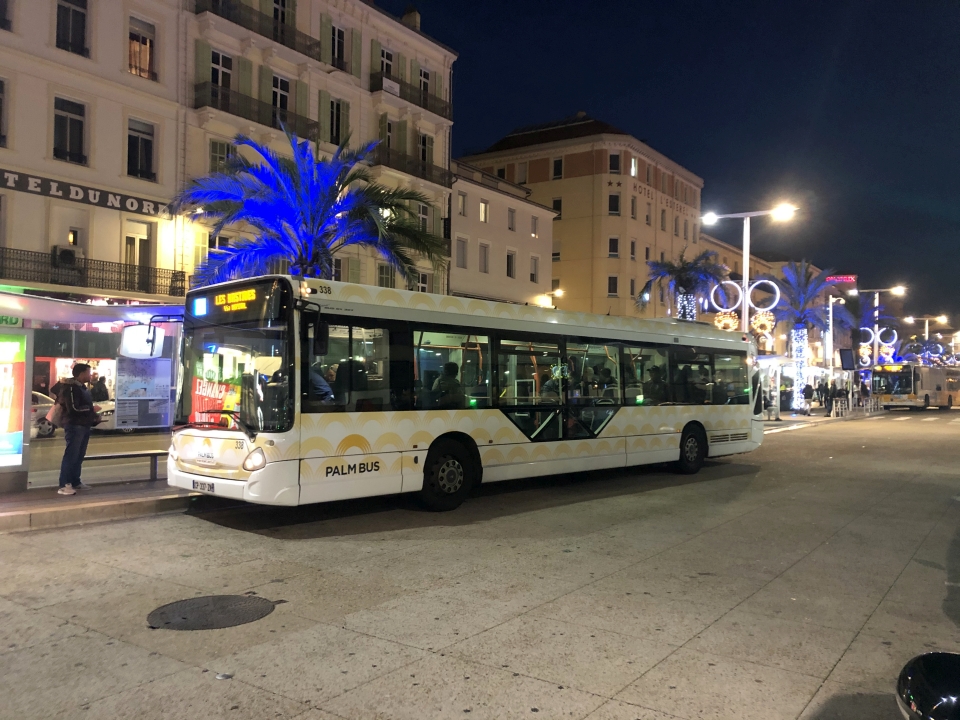 Palm Bus 338