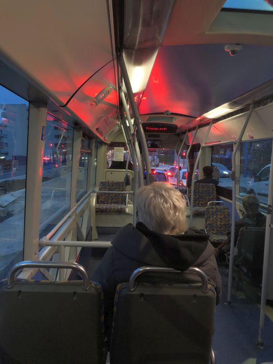 Palm Bus 340