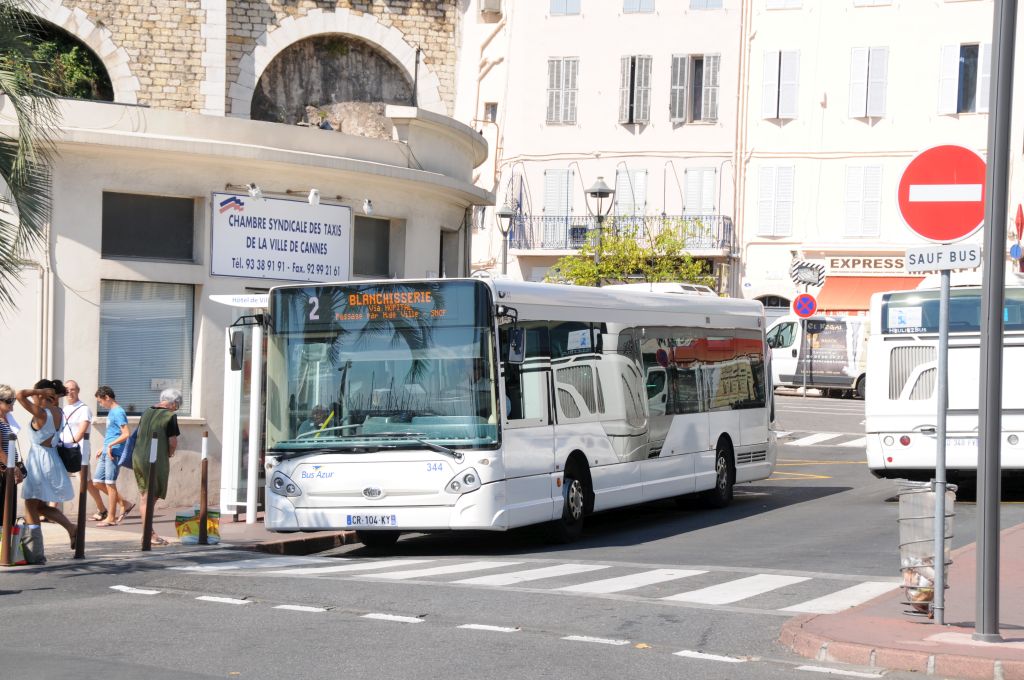 Palm Bus 344