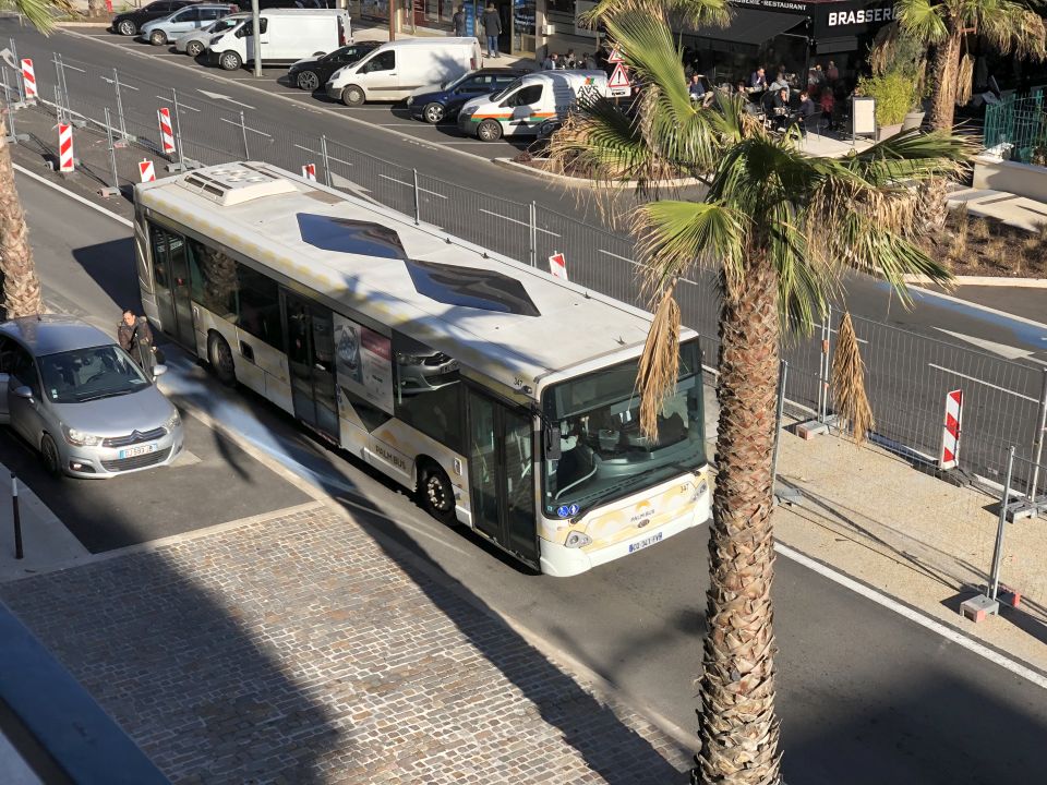 Palm Bus 347