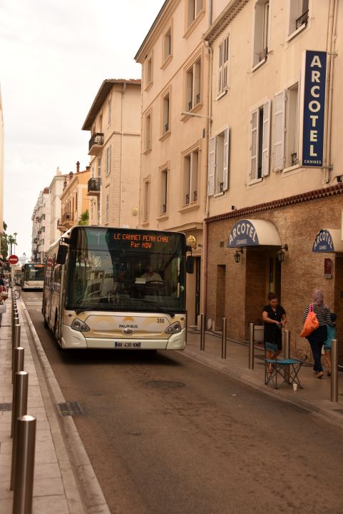 Palm Bus 350