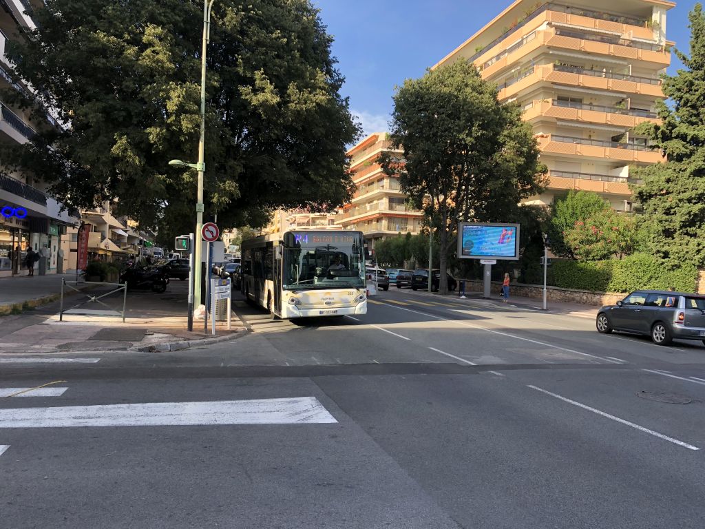 Palm Bus 355