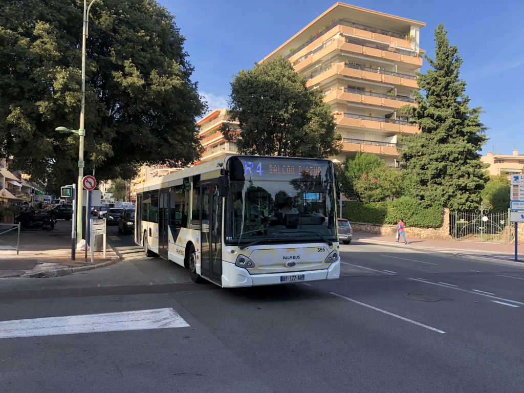 Palm Bus 355