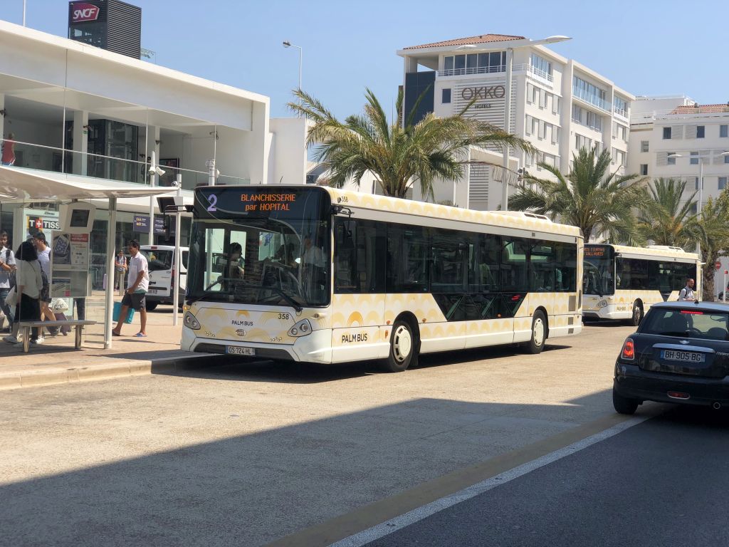 Palm 358 Cannes