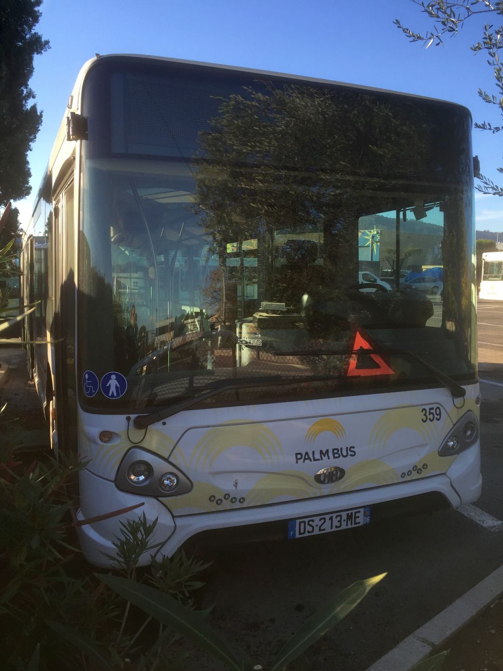 Palm 359 Cannes