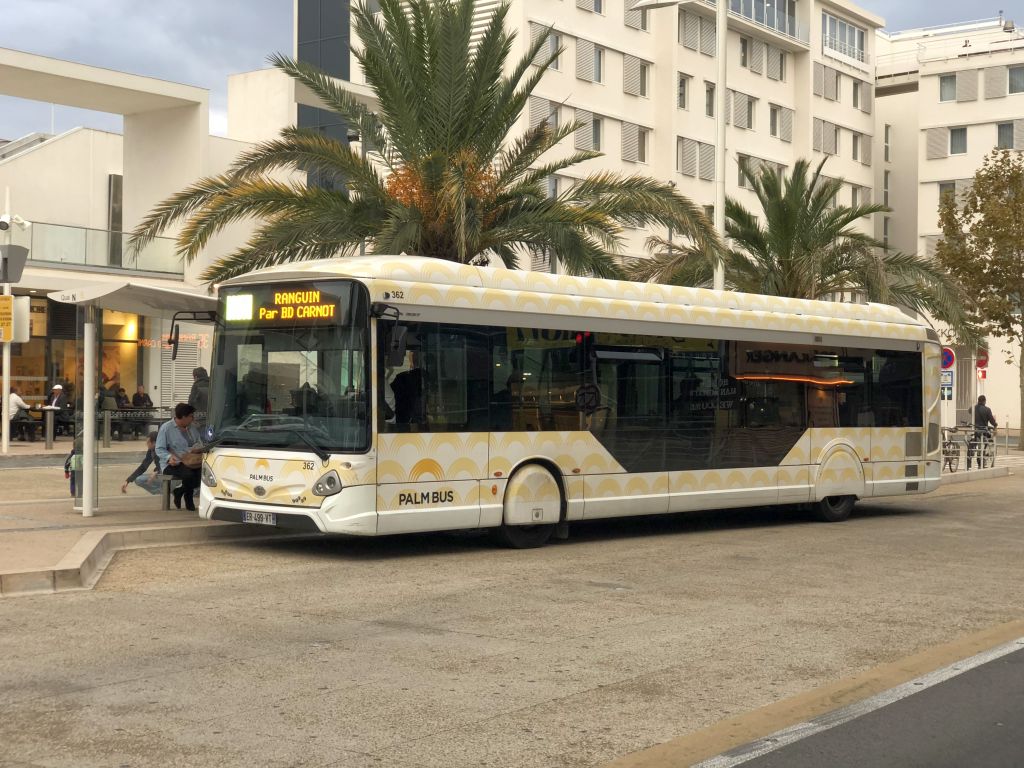 Palm Bus 362