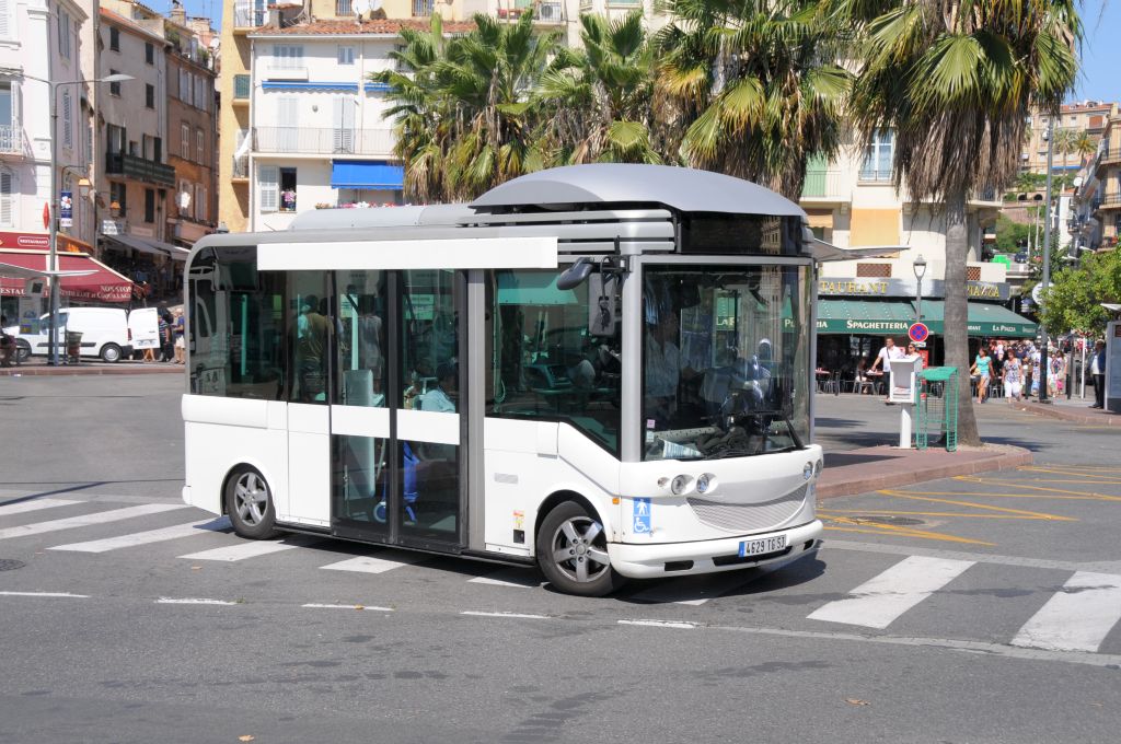 Palm Bus 530