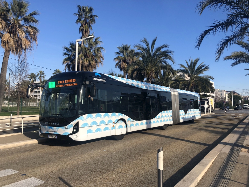 Palm Bus 800