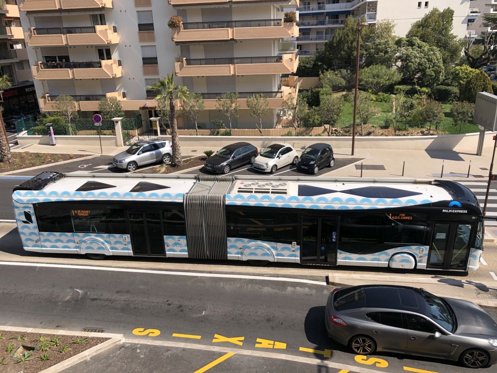 Palm Bus 801