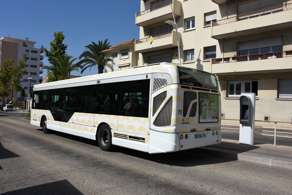 Palm Bus 344