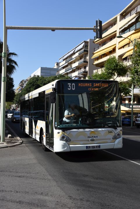 Palm Bus 344, ligne 30 arrive à l'arrêt Paul Doumer